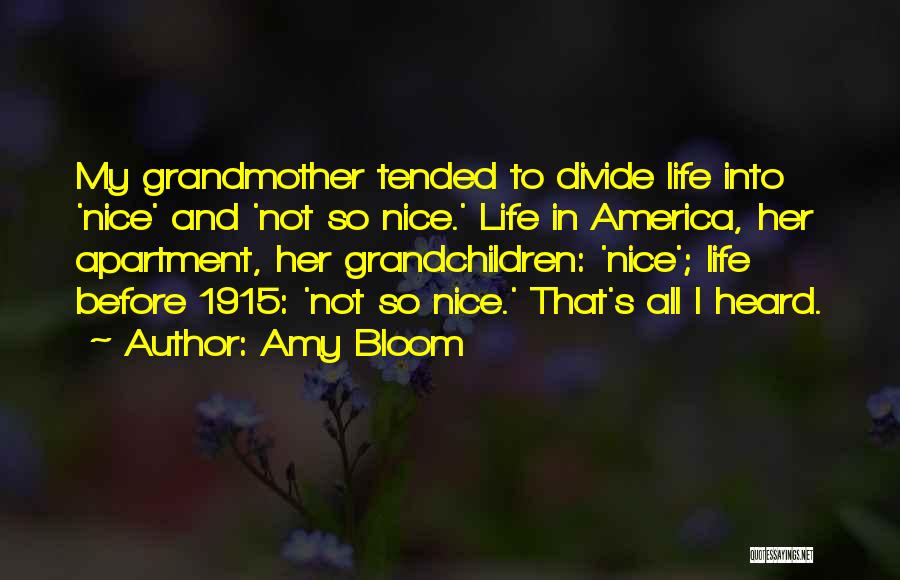 Amy Bloom Quotes: My Grandmother Tended To Divide Life Into 'nice' And 'not So Nice.' Life In America, Her Apartment, Her Grandchildren: 'nice';