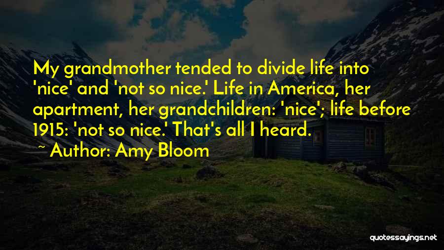 Amy Bloom Quotes: My Grandmother Tended To Divide Life Into 'nice' And 'not So Nice.' Life In America, Her Apartment, Her Grandchildren: 'nice';