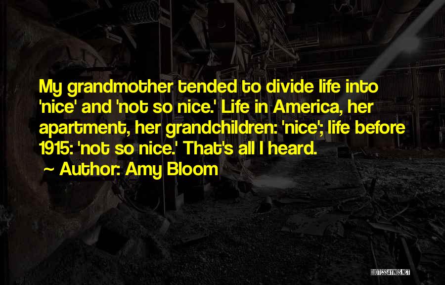Amy Bloom Quotes: My Grandmother Tended To Divide Life Into 'nice' And 'not So Nice.' Life In America, Her Apartment, Her Grandchildren: 'nice';