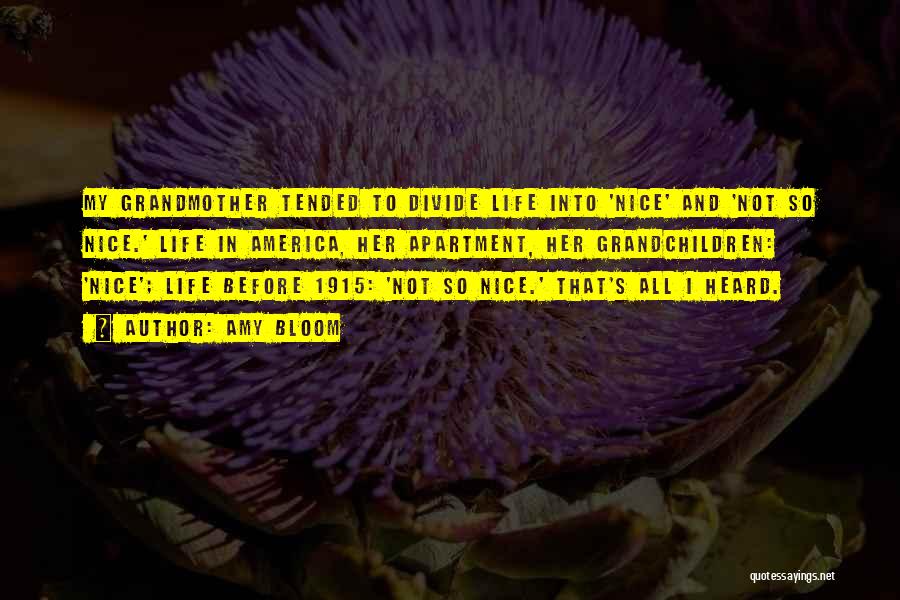 Amy Bloom Quotes: My Grandmother Tended To Divide Life Into 'nice' And 'not So Nice.' Life In America, Her Apartment, Her Grandchildren: 'nice';