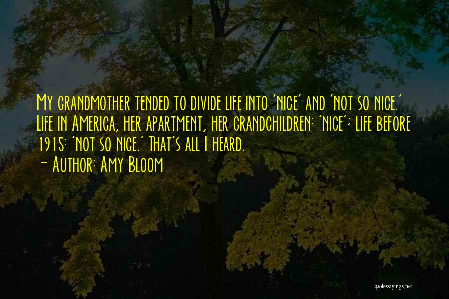 Amy Bloom Quotes: My Grandmother Tended To Divide Life Into 'nice' And 'not So Nice.' Life In America, Her Apartment, Her Grandchildren: 'nice';