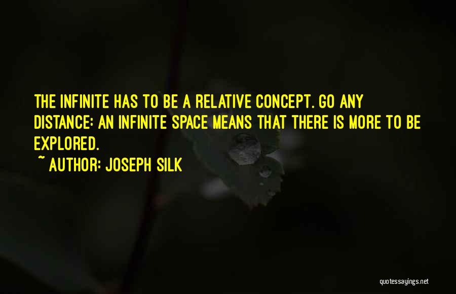 Joseph Silk Quotes: The Infinite Has To Be A Relative Concept. Go Any Distance: An Infinite Space Means That There Is More To