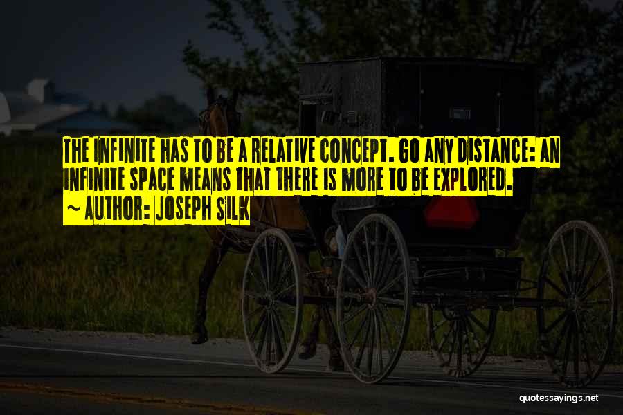 Joseph Silk Quotes: The Infinite Has To Be A Relative Concept. Go Any Distance: An Infinite Space Means That There Is More To