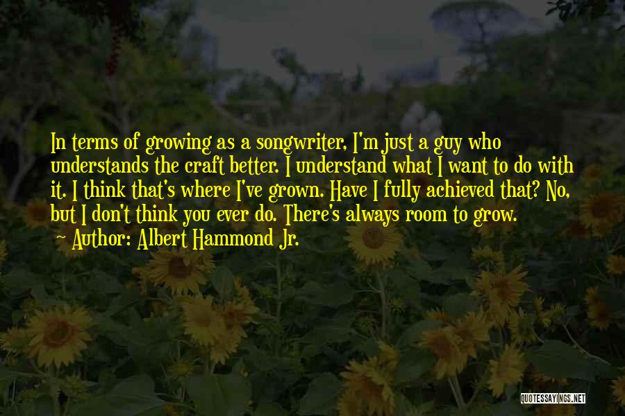 Albert Hammond Jr. Quotes: In Terms Of Growing As A Songwriter, I'm Just A Guy Who Understands The Craft Better. I Understand What I
