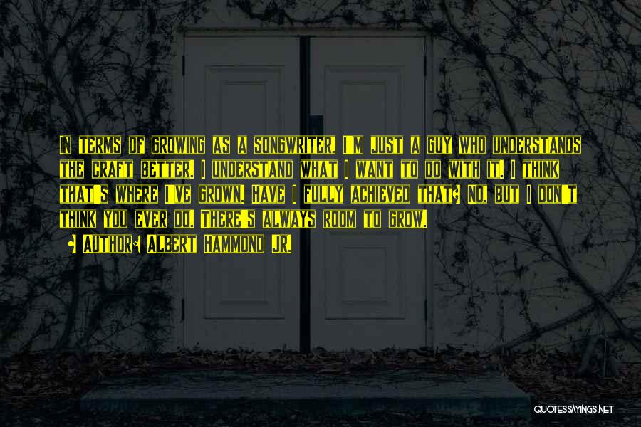 Albert Hammond Jr. Quotes: In Terms Of Growing As A Songwriter, I'm Just A Guy Who Understands The Craft Better. I Understand What I
