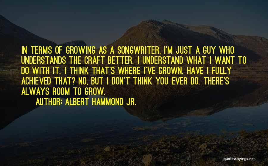 Albert Hammond Jr. Quotes: In Terms Of Growing As A Songwriter, I'm Just A Guy Who Understands The Craft Better. I Understand What I