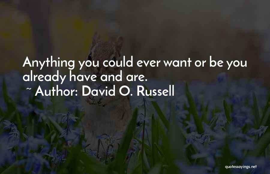 David O. Russell Quotes: Anything You Could Ever Want Or Be You Already Have And Are.