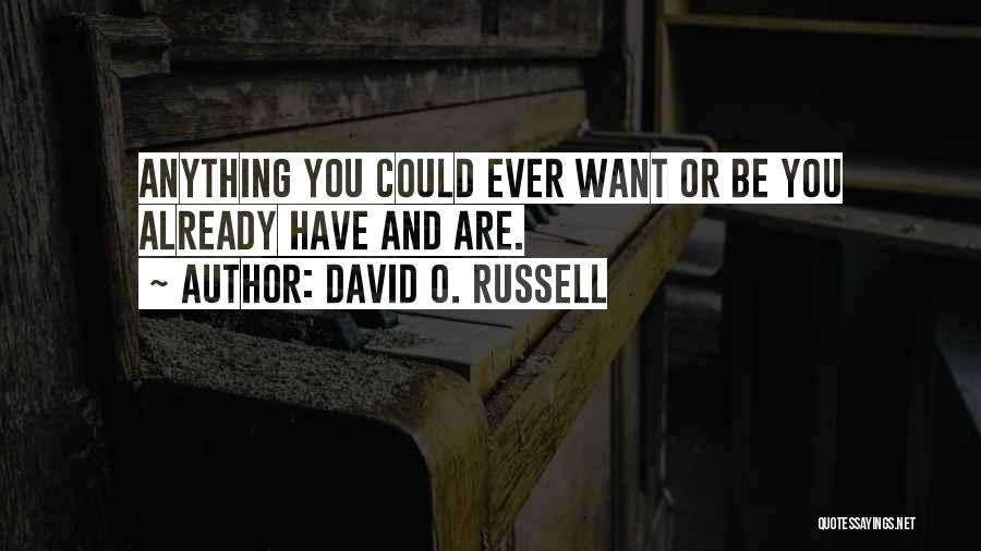 David O. Russell Quotes: Anything You Could Ever Want Or Be You Already Have And Are.