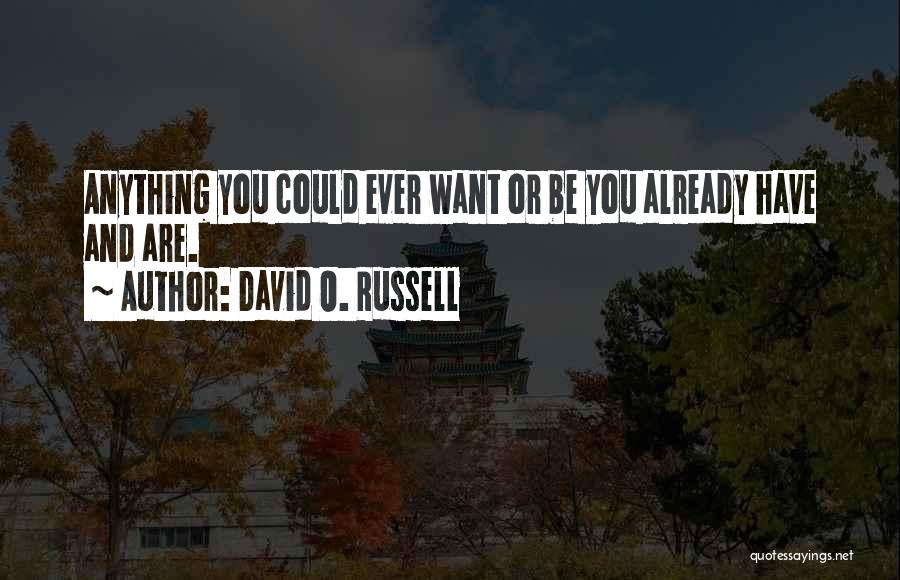 David O. Russell Quotes: Anything You Could Ever Want Or Be You Already Have And Are.