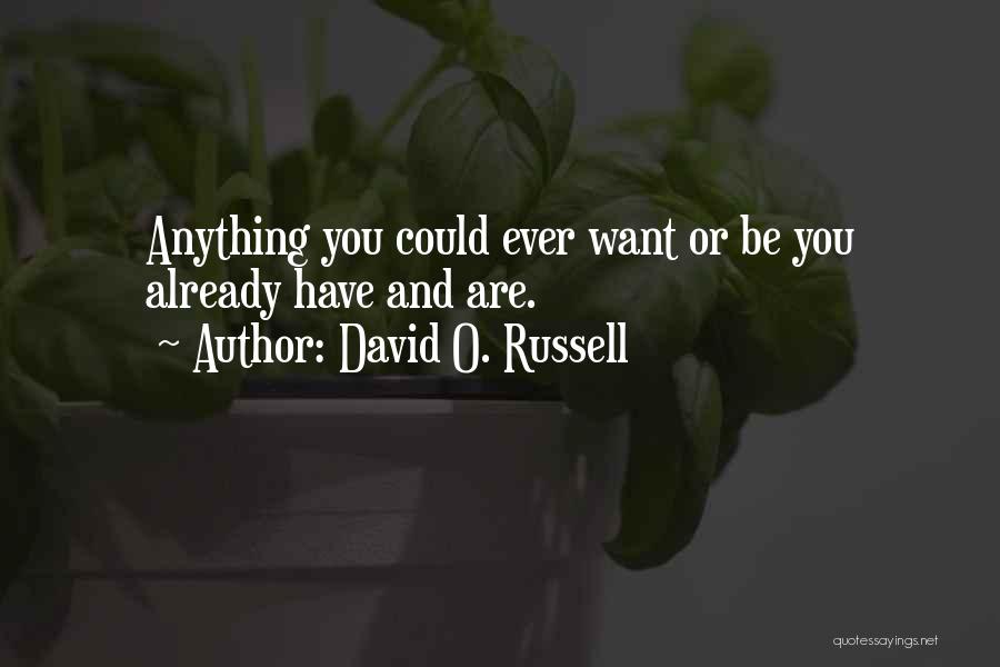David O. Russell Quotes: Anything You Could Ever Want Or Be You Already Have And Are.