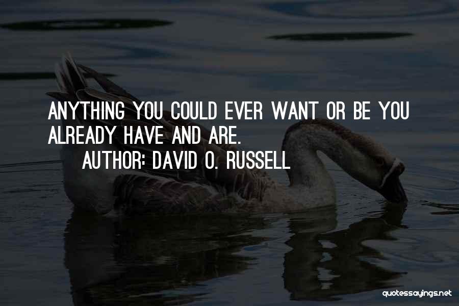 David O. Russell Quotes: Anything You Could Ever Want Or Be You Already Have And Are.
