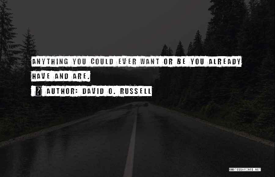 David O. Russell Quotes: Anything You Could Ever Want Or Be You Already Have And Are.