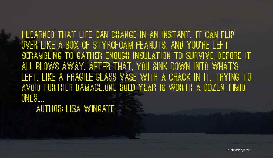 Lisa Wingate Quotes: I Learned That Life Can Change In An Instant. It Can Flip Over Like A Box Of Styrofoam Peanuts, And