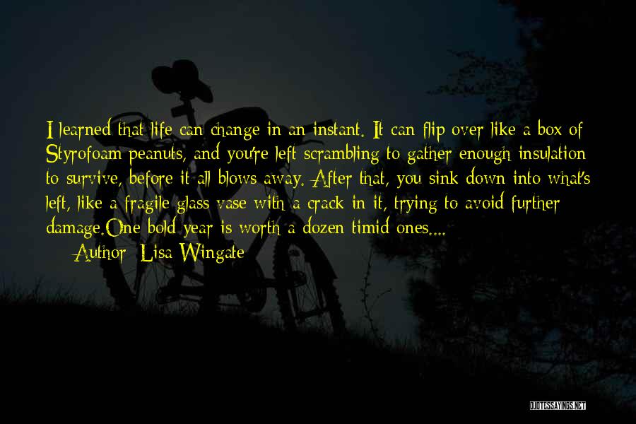 Lisa Wingate Quotes: I Learned That Life Can Change In An Instant. It Can Flip Over Like A Box Of Styrofoam Peanuts, And