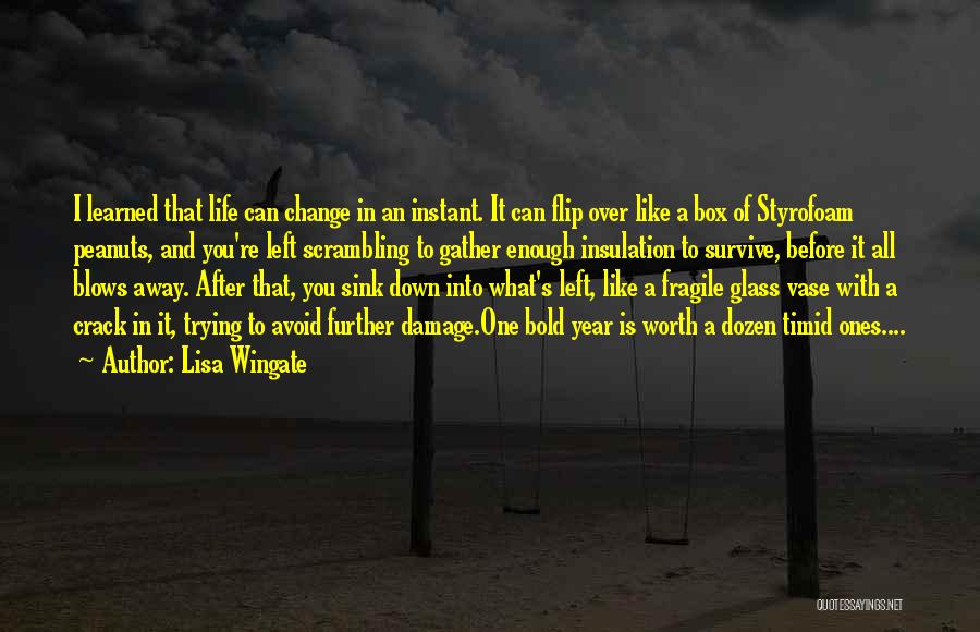 Lisa Wingate Quotes: I Learned That Life Can Change In An Instant. It Can Flip Over Like A Box Of Styrofoam Peanuts, And