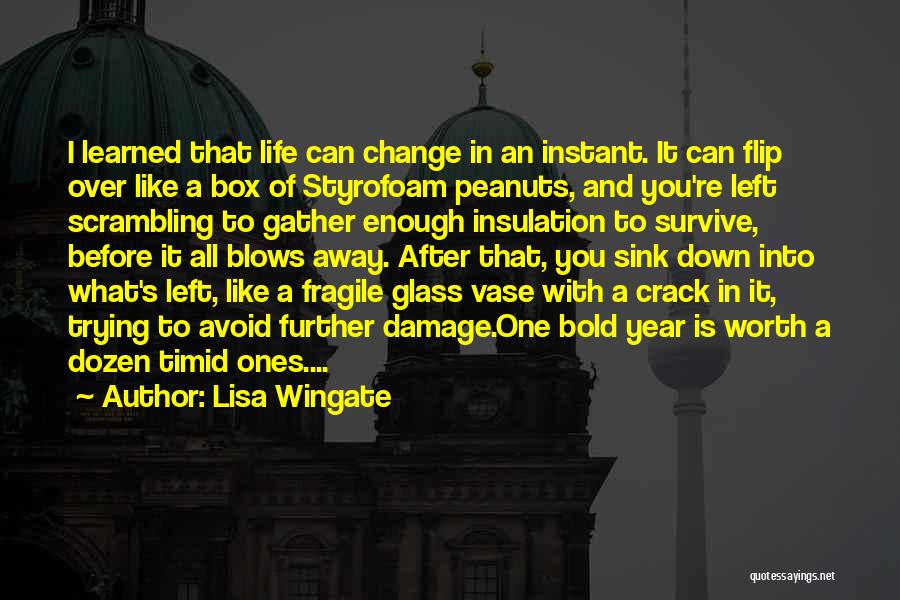 Lisa Wingate Quotes: I Learned That Life Can Change In An Instant. It Can Flip Over Like A Box Of Styrofoam Peanuts, And