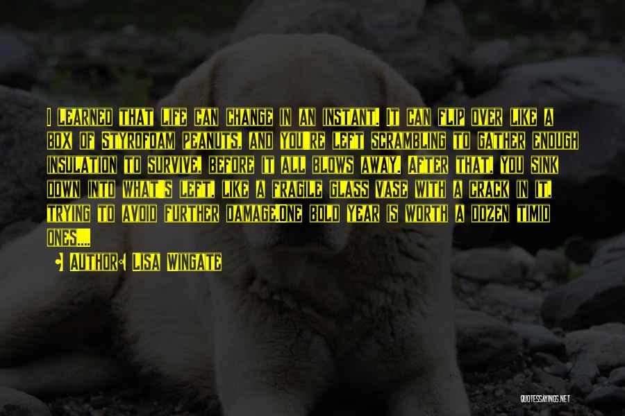 Lisa Wingate Quotes: I Learned That Life Can Change In An Instant. It Can Flip Over Like A Box Of Styrofoam Peanuts, And