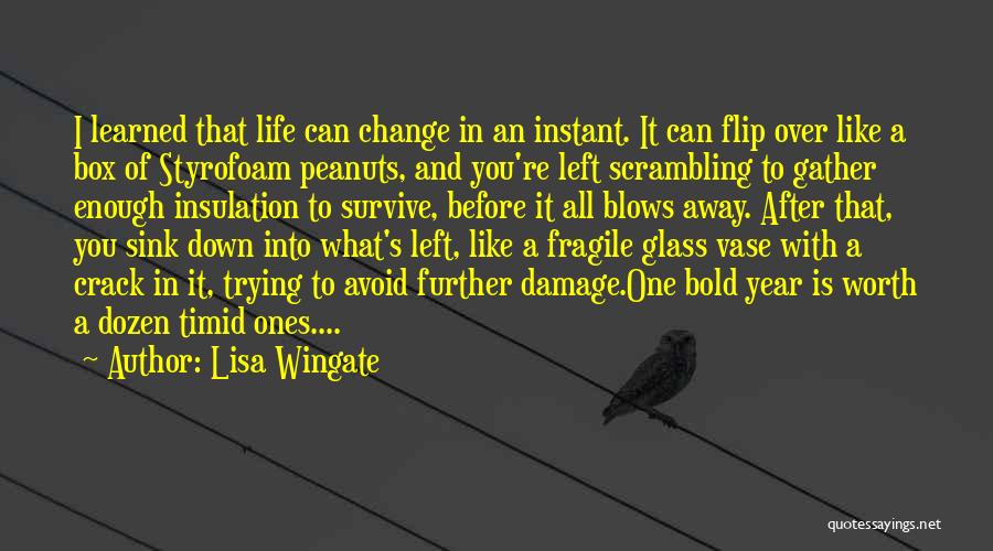 Lisa Wingate Quotes: I Learned That Life Can Change In An Instant. It Can Flip Over Like A Box Of Styrofoam Peanuts, And