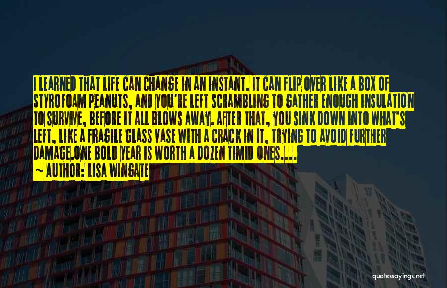 Lisa Wingate Quotes: I Learned That Life Can Change In An Instant. It Can Flip Over Like A Box Of Styrofoam Peanuts, And