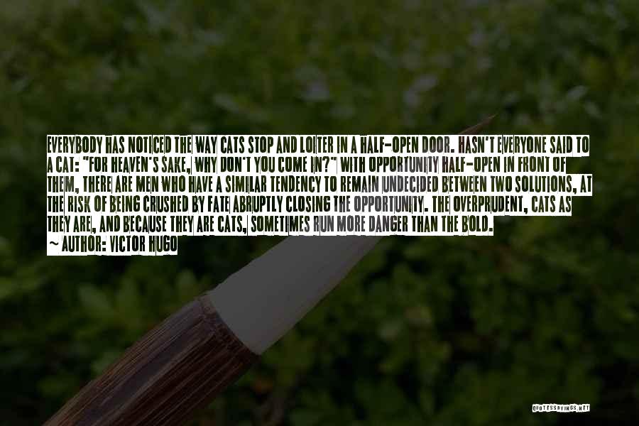 Victor Hugo Quotes: Everybody Has Noticed The Way Cats Stop And Loiter In A Half-open Door. Hasn't Everyone Said To A Cat: For