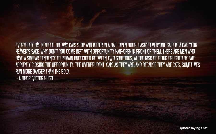 Victor Hugo Quotes: Everybody Has Noticed The Way Cats Stop And Loiter In A Half-open Door. Hasn't Everyone Said To A Cat: For