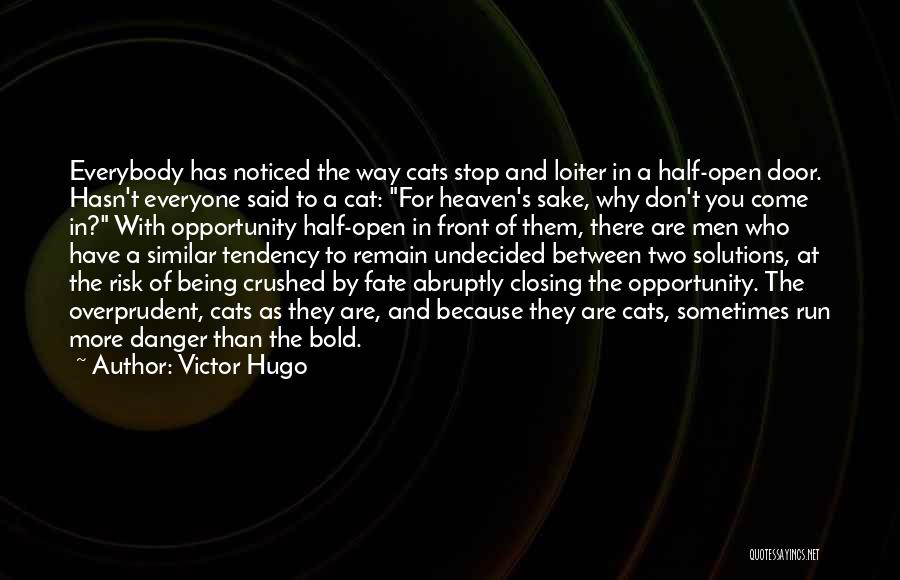 Victor Hugo Quotes: Everybody Has Noticed The Way Cats Stop And Loiter In A Half-open Door. Hasn't Everyone Said To A Cat: For