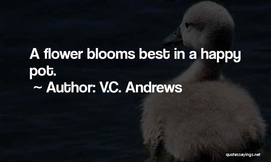 V.C. Andrews Quotes: A Flower Blooms Best In A Happy Pot.
