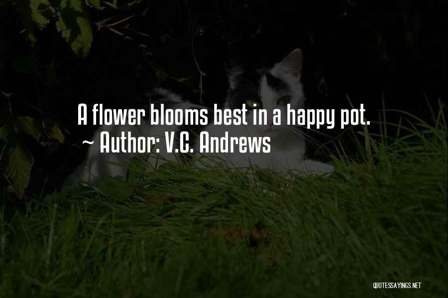 V.C. Andrews Quotes: A Flower Blooms Best In A Happy Pot.