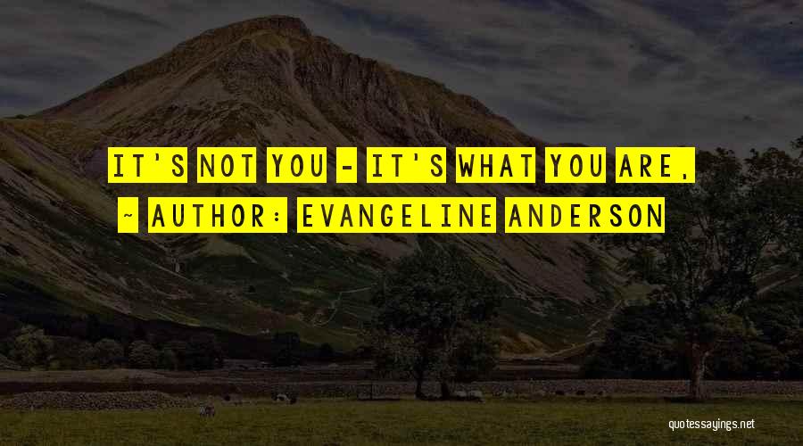 Evangeline Anderson Quotes: It's Not You - It's What You Are,