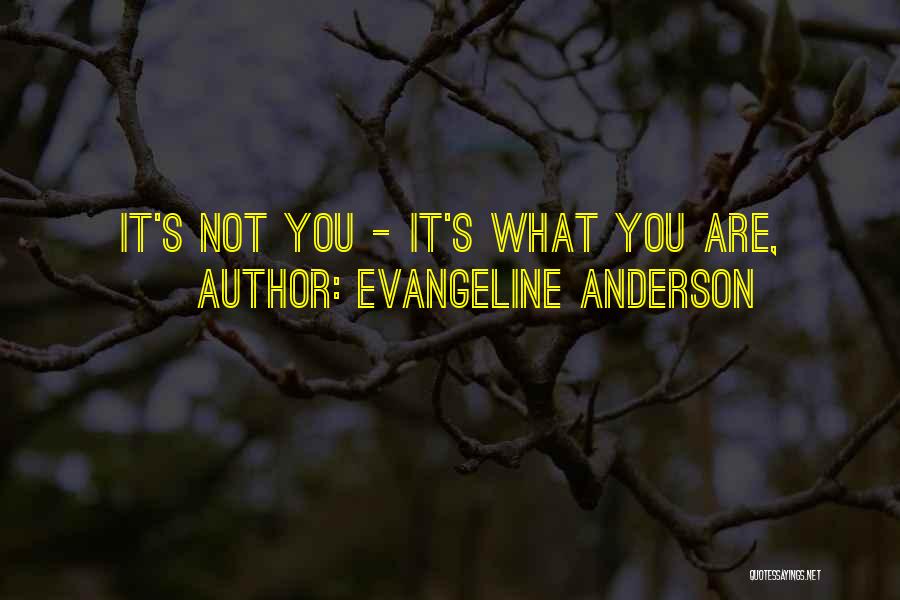 Evangeline Anderson Quotes: It's Not You - It's What You Are,
