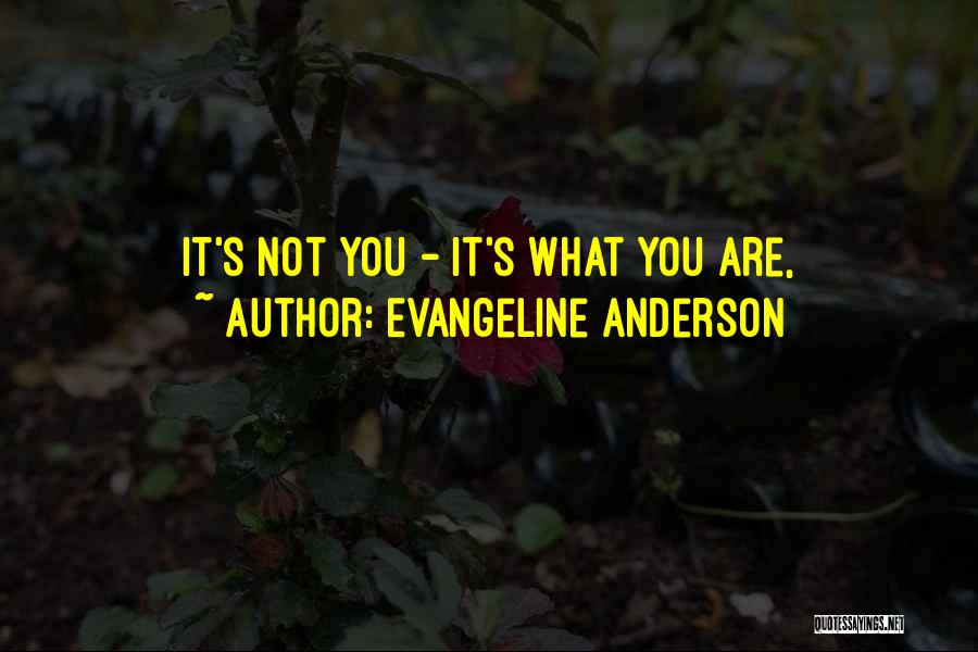 Evangeline Anderson Quotes: It's Not You - It's What You Are,