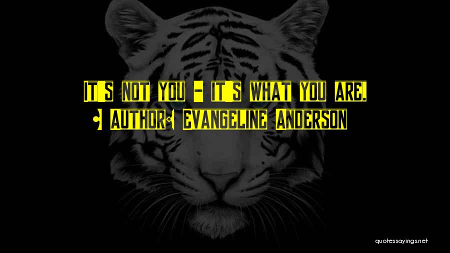 Evangeline Anderson Quotes: It's Not You - It's What You Are,