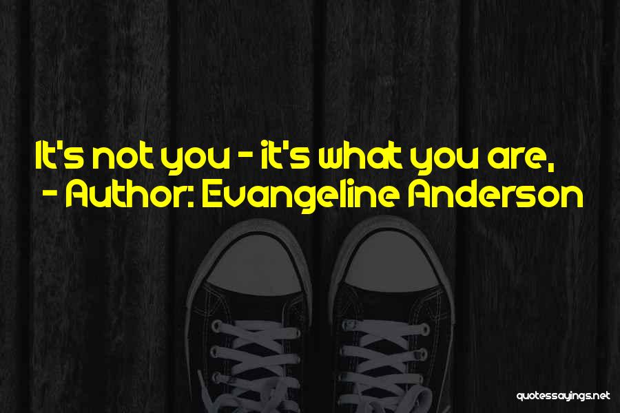 Evangeline Anderson Quotes: It's Not You - It's What You Are,