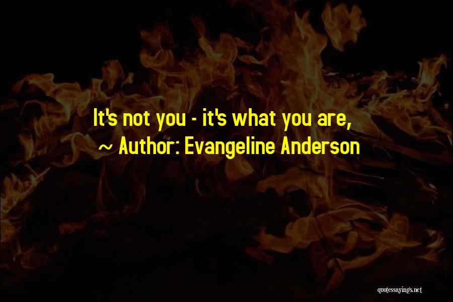 Evangeline Anderson Quotes: It's Not You - It's What You Are,