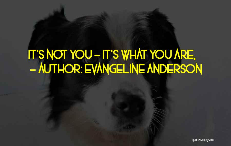 Evangeline Anderson Quotes: It's Not You - It's What You Are,