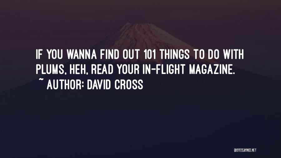 David Cross Quotes: If You Wanna Find Out 101 Things To Do With Plums, Heh, Read Your In-flight Magazine.