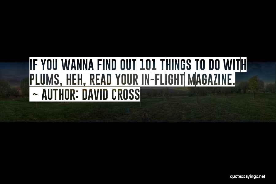 David Cross Quotes: If You Wanna Find Out 101 Things To Do With Plums, Heh, Read Your In-flight Magazine.