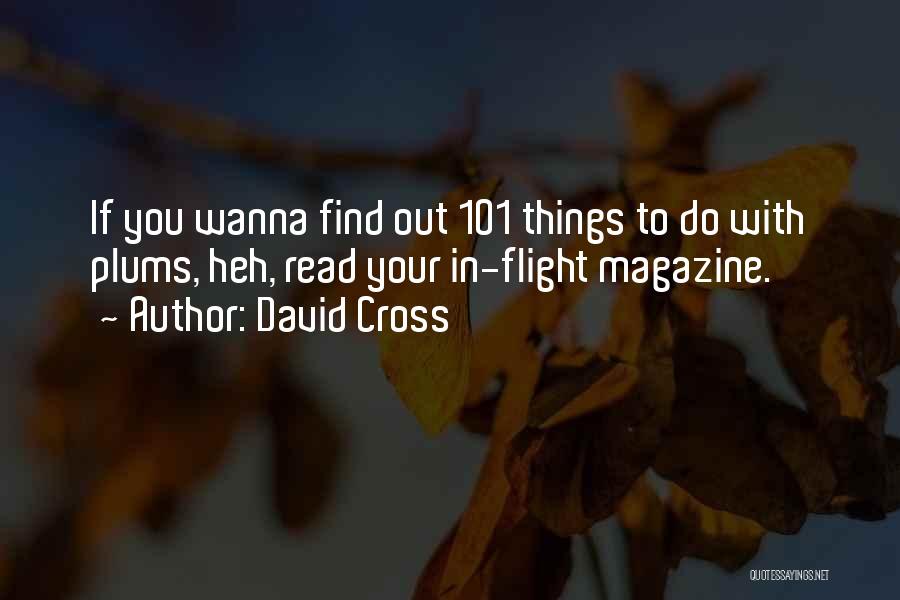 David Cross Quotes: If You Wanna Find Out 101 Things To Do With Plums, Heh, Read Your In-flight Magazine.