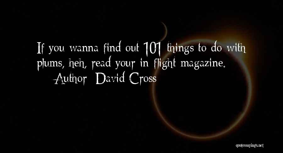 David Cross Quotes: If You Wanna Find Out 101 Things To Do With Plums, Heh, Read Your In-flight Magazine.