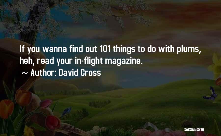 David Cross Quotes: If You Wanna Find Out 101 Things To Do With Plums, Heh, Read Your In-flight Magazine.