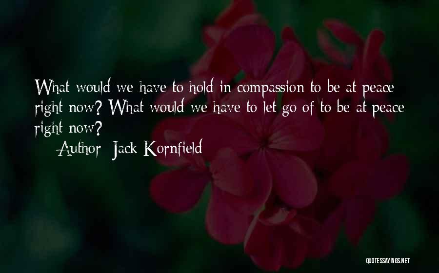 Jack Kornfield Quotes: What Would We Have To Hold In Compassion To Be At Peace Right Now? What Would We Have To Let