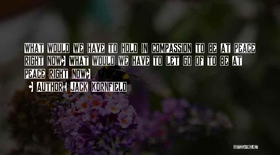 Jack Kornfield Quotes: What Would We Have To Hold In Compassion To Be At Peace Right Now? What Would We Have To Let