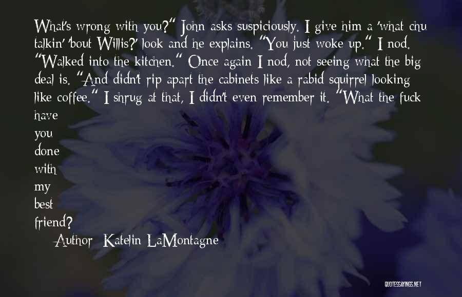 Katelin LaMontagne Quotes: What's Wrong With You? John Asks Suspiciously. I Give Him A 'what Chu Talkin' 'bout Willis?' Look And He Explains.