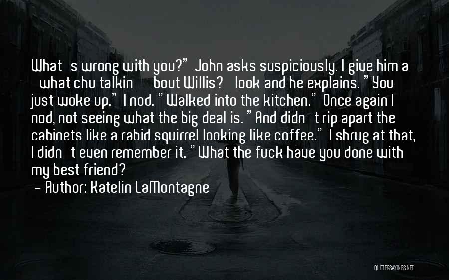 Katelin LaMontagne Quotes: What's Wrong With You? John Asks Suspiciously. I Give Him A 'what Chu Talkin' 'bout Willis?' Look And He Explains.