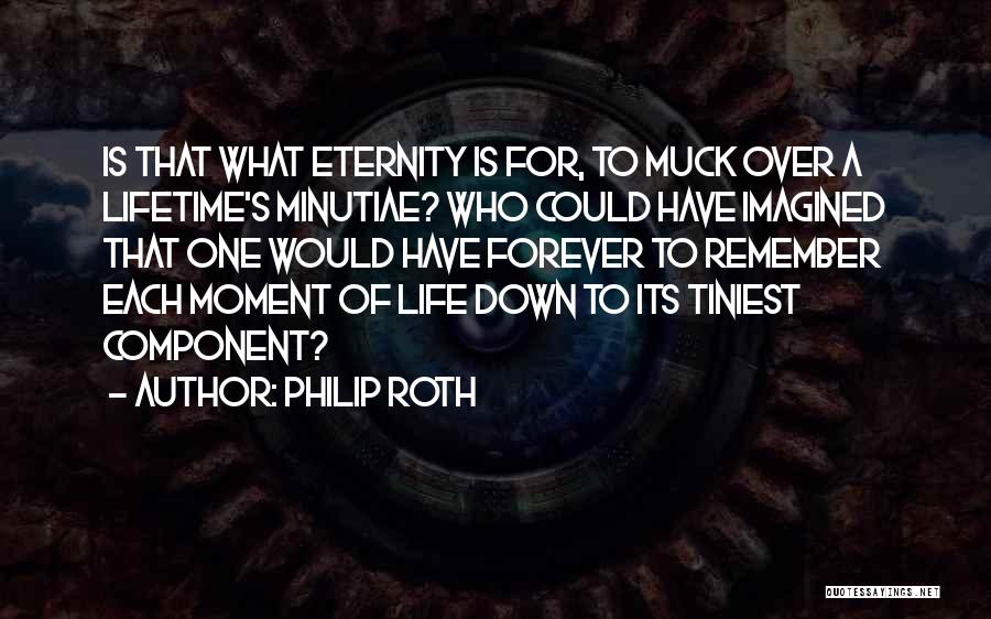 Philip Roth Quotes: Is That What Eternity Is For, To Muck Over A Lifetime's Minutiae? Who Could Have Imagined That One Would Have