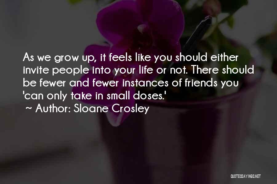 Sloane Crosley Quotes: As We Grow Up, It Feels Like You Should Either Invite People Into Your Life Or Not. There Should Be