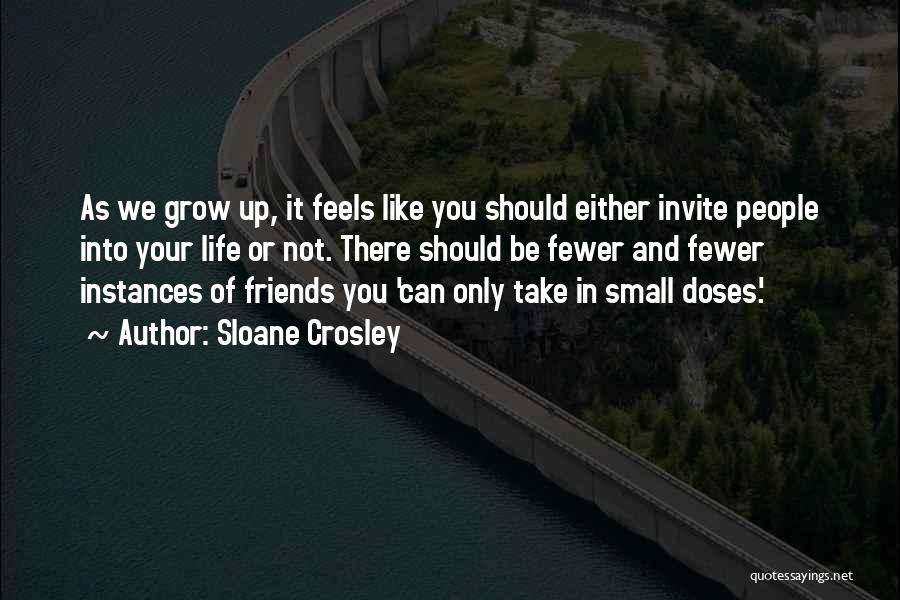 Sloane Crosley Quotes: As We Grow Up, It Feels Like You Should Either Invite People Into Your Life Or Not. There Should Be