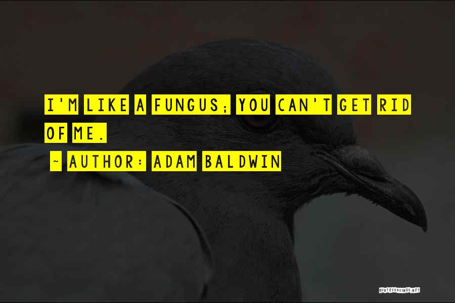 Adam Baldwin Quotes: I'm Like A Fungus; You Can't Get Rid Of Me.