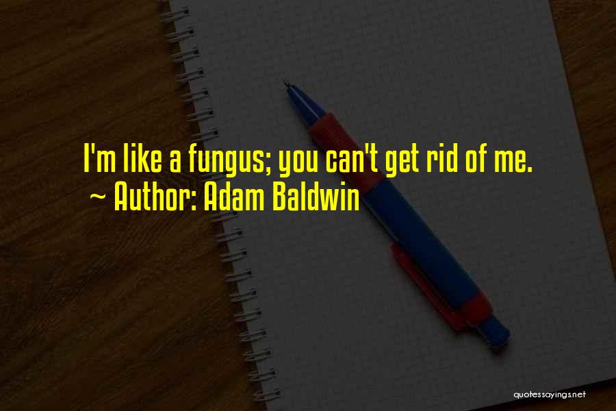 Adam Baldwin Quotes: I'm Like A Fungus; You Can't Get Rid Of Me.