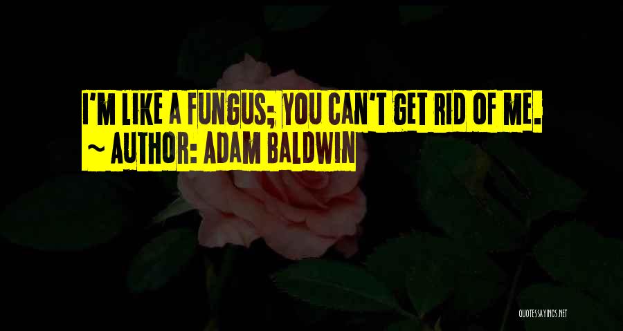 Adam Baldwin Quotes: I'm Like A Fungus; You Can't Get Rid Of Me.